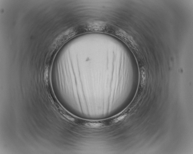 X0000080770745200701021121