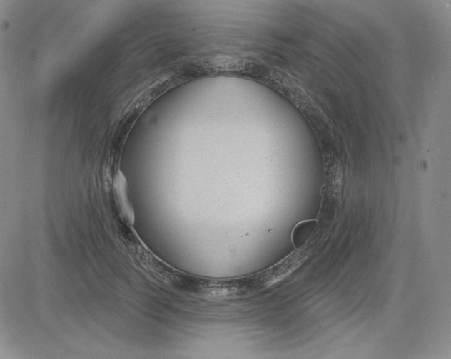 X0000080770746200701021121