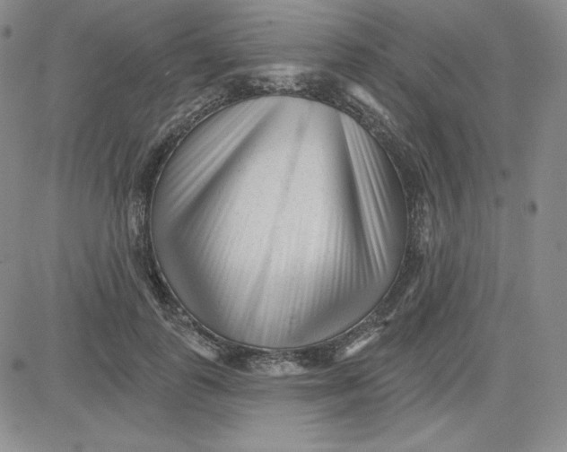 X0000080770747200701021121