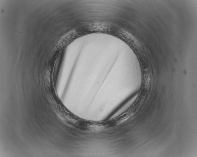 X0000080770749200701021121