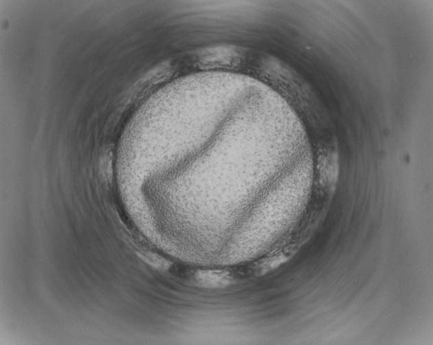 X0000080770753200701021121