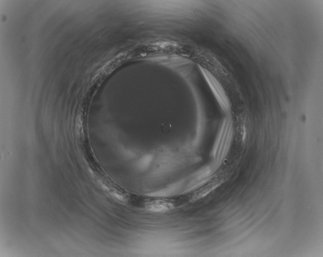 X0000080770754200701021121