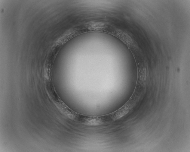 X0000080770755200701021121