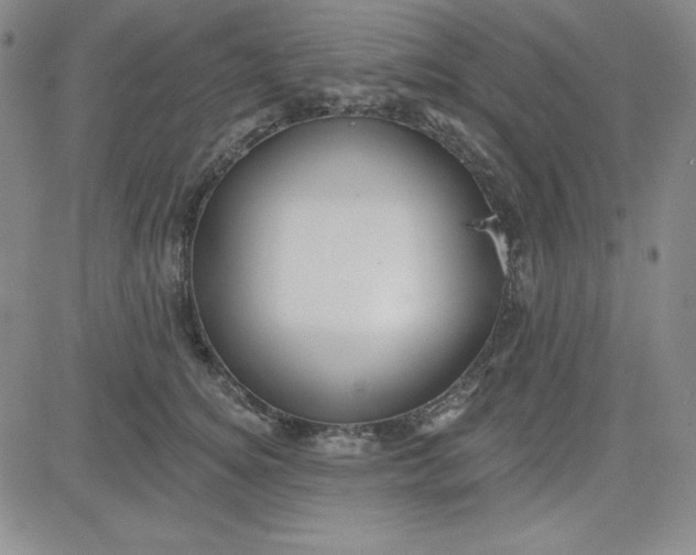 X0000080770756200701021121