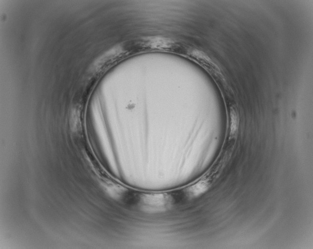 X0000080770757200701021121