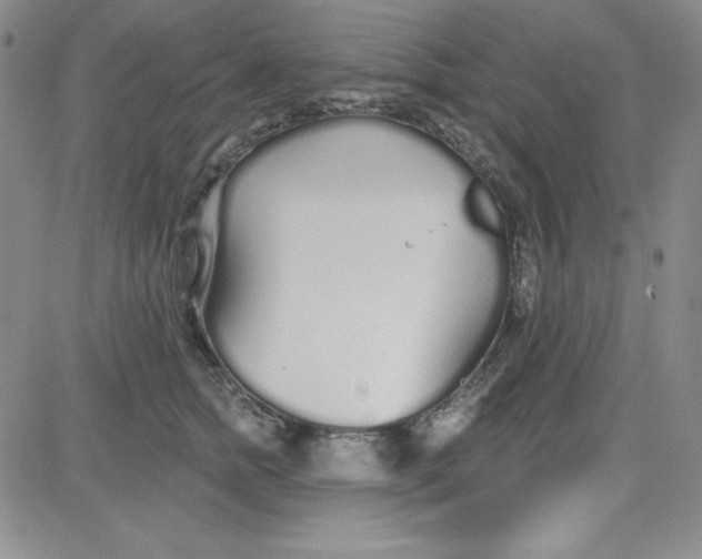 X0000080770758200701021121