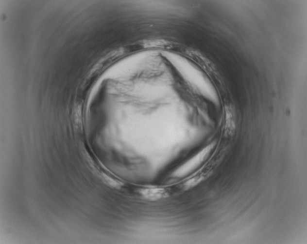 X0000080770761200701021121