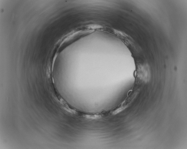 X0000080770763200701021121