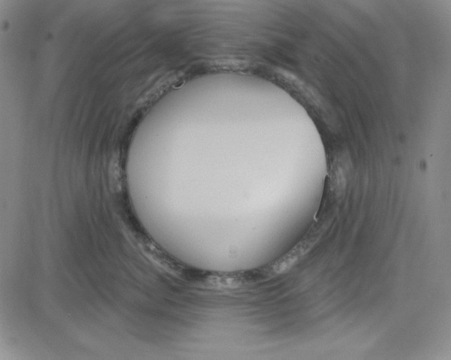 X0000080770764200701021121