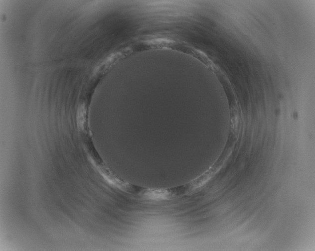 X0000080770767200701021121