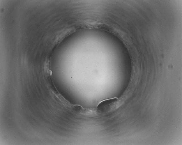 X0000080770768200701021121