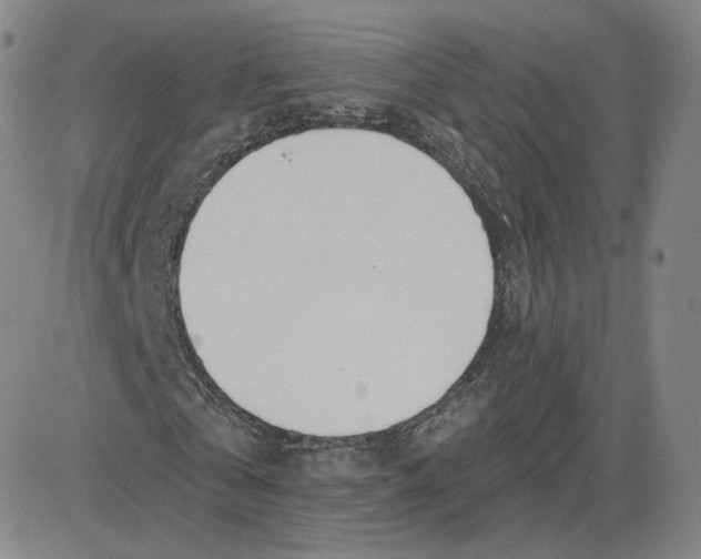 X0000080770769200701021120