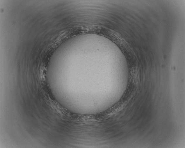 X0000080770770200701021120