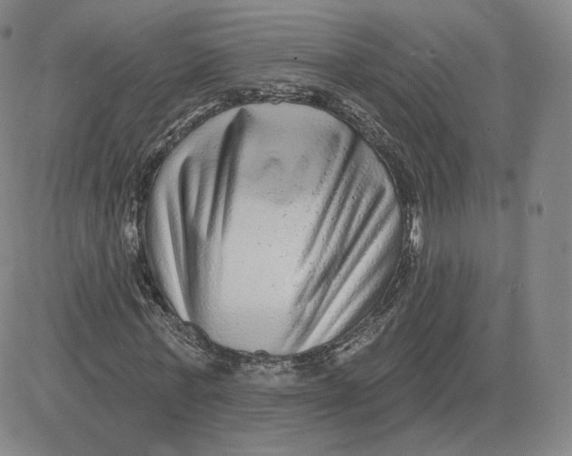 X0000080770771200701021120