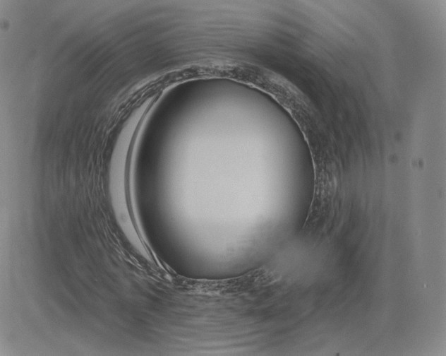 X0000080770773200701021120