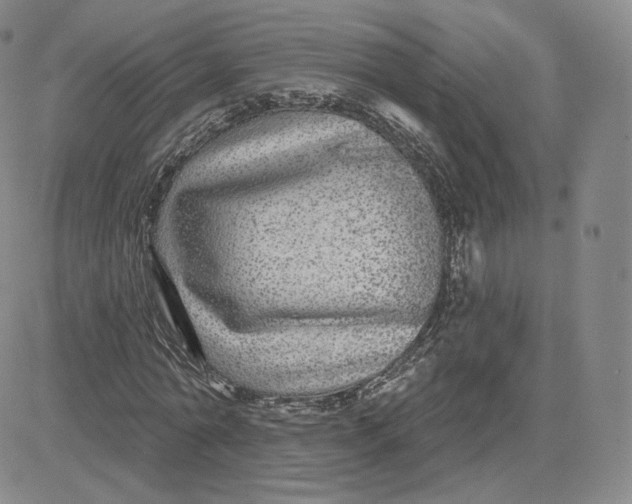 X0000080770774200701021120