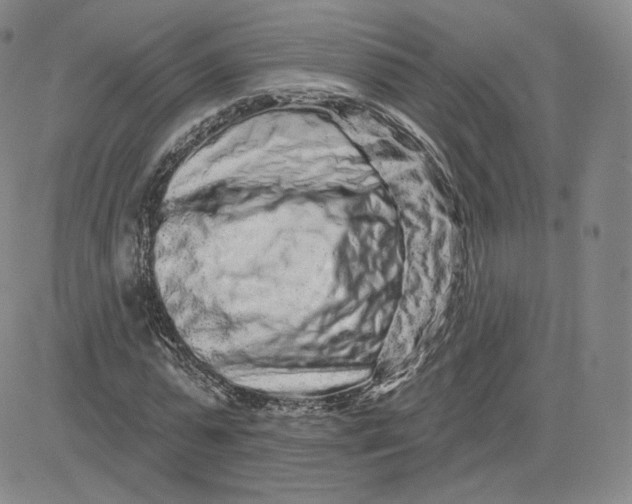 X0000080770775200701021120