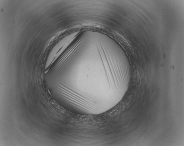 X0000080770776200701021120