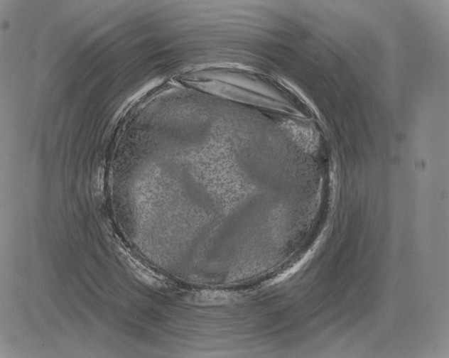 X0000080770777200701021120