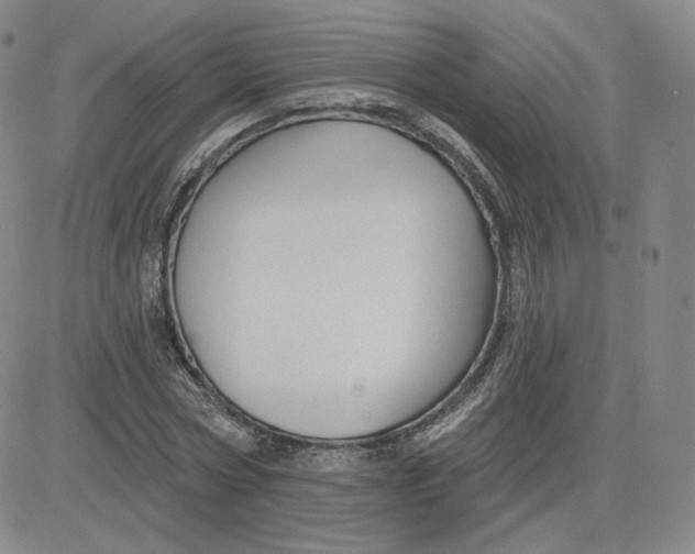 X0000080770778200701021120