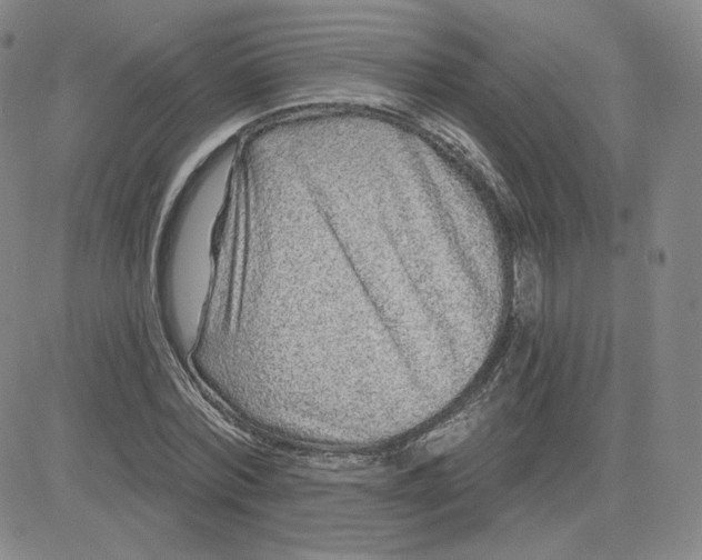 X0000080770780200701021120