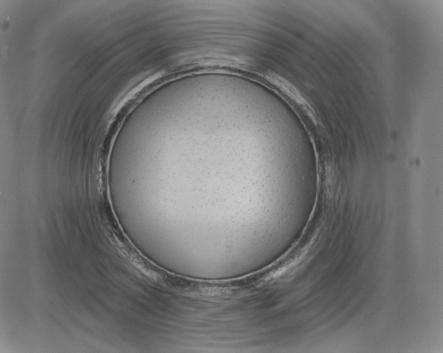 X0000080770782200701021120