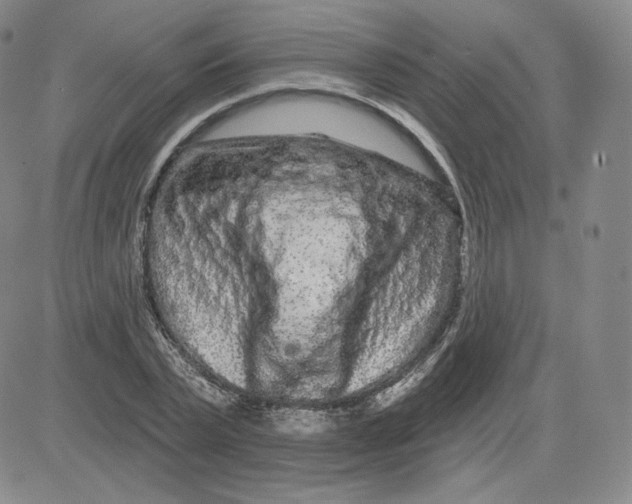 X0000080770783200701021120