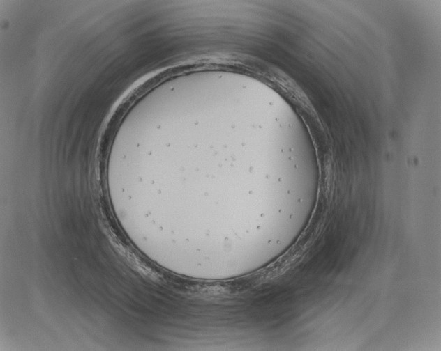 X0000080770784200701021120