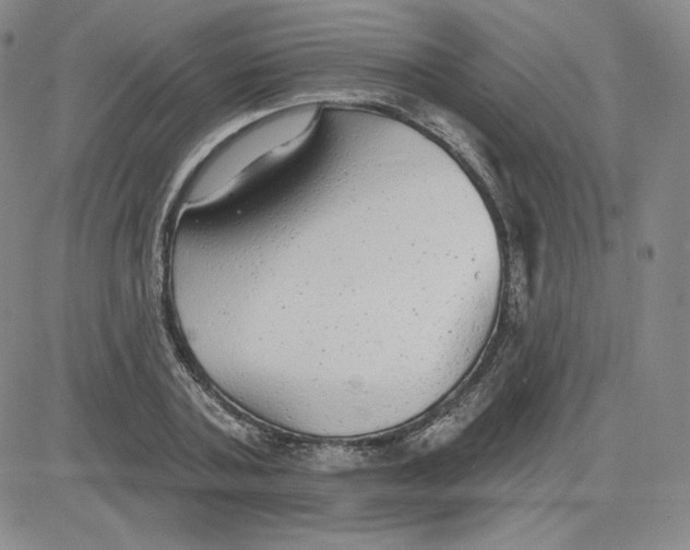 X0000080770787200701021120