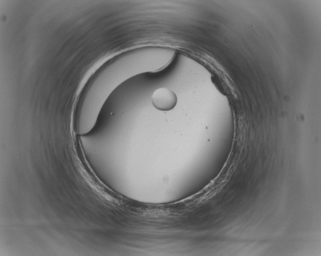 X0000080770788200701021120