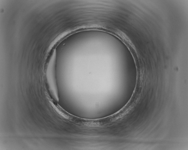 X0000080770789200701021120