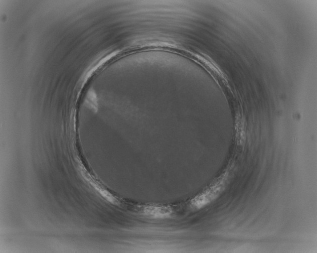 X0000080770790200701021120