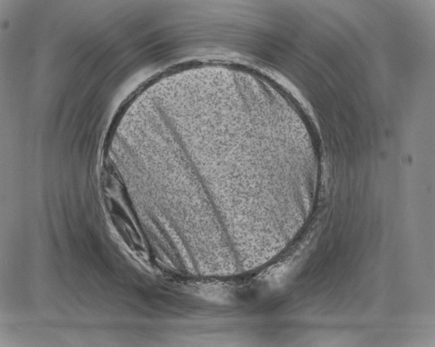 X0000080770791200701021120