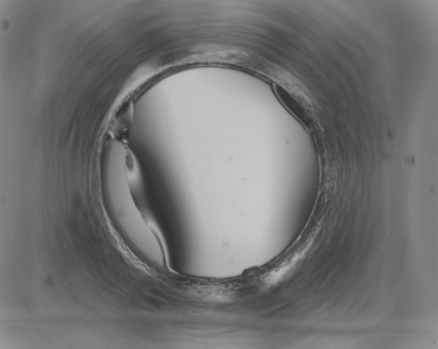 X0000080770792200701021120