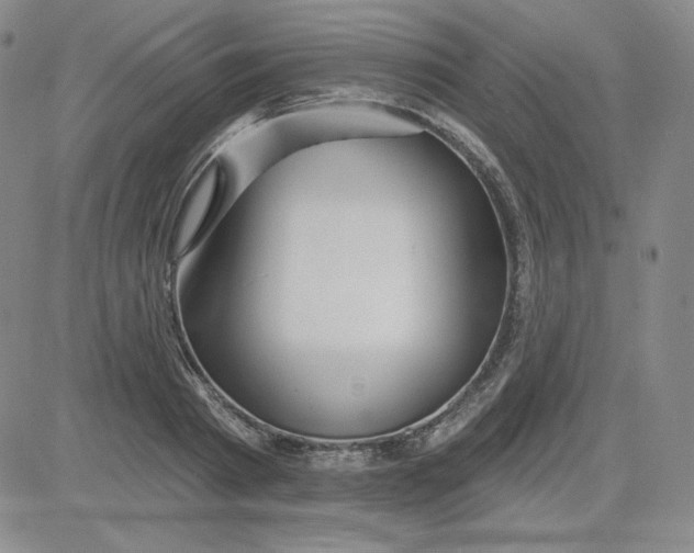 X0000080770793200701021120