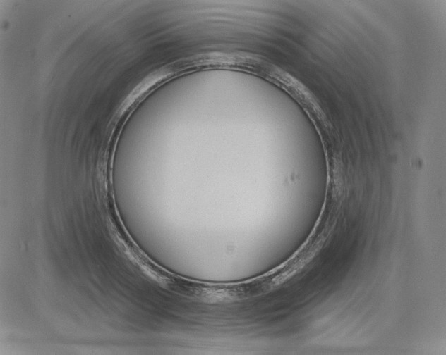 X0000080770794200701021120