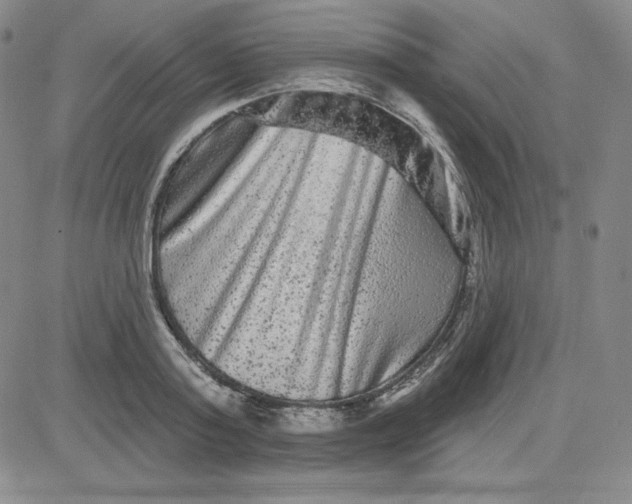 X0000080770795200701021120