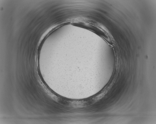 X0000080770796200701021120