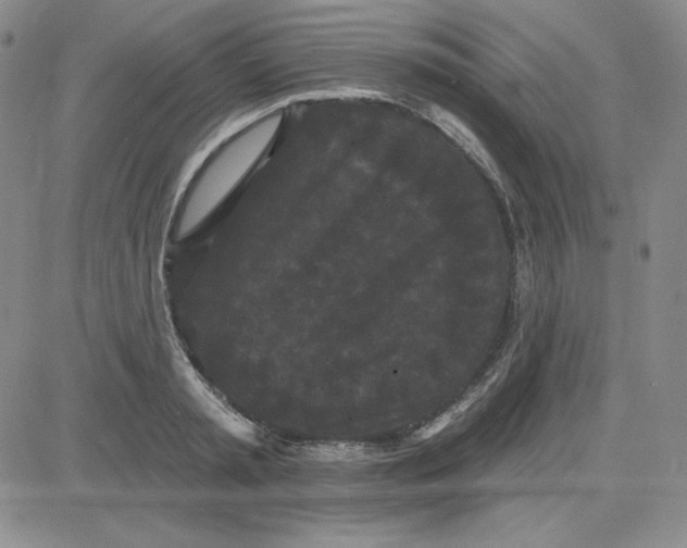 X0000080770797200701021120