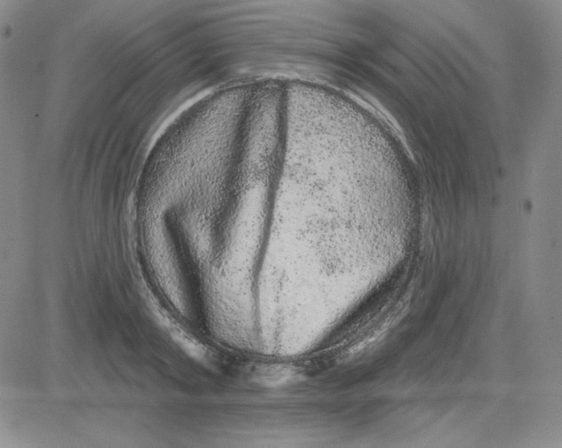 X0000080770798200701021120