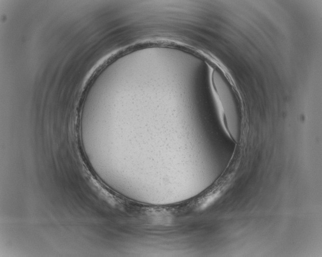 X0000080770799200701021120