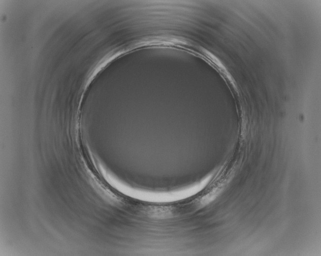 X0000080770802200701021120