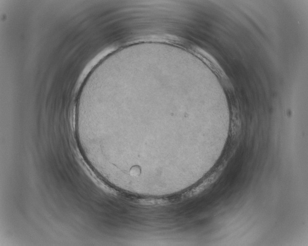 X0000080770804200701021120