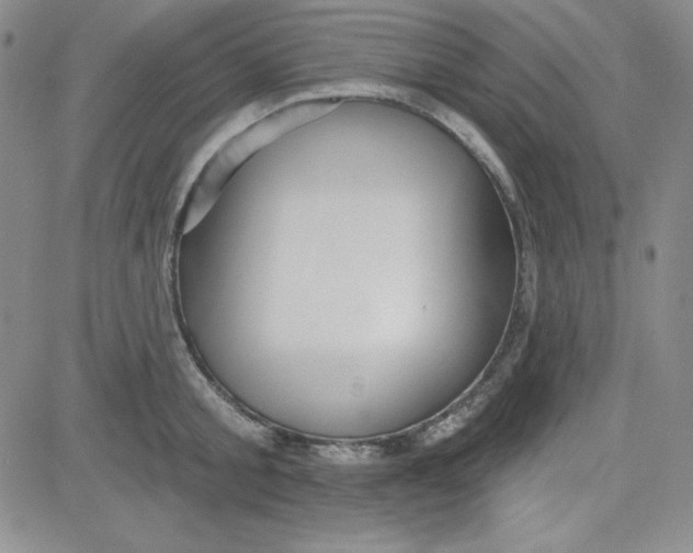 X0000080770805200701021120