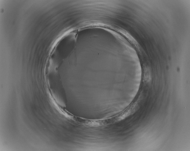 X0000080770806200701021120