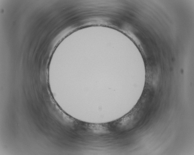 X0000080770807200701021120