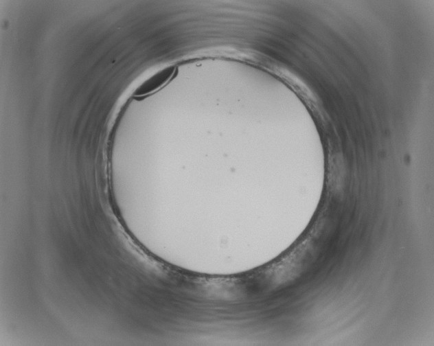 X0000080770808200701021120