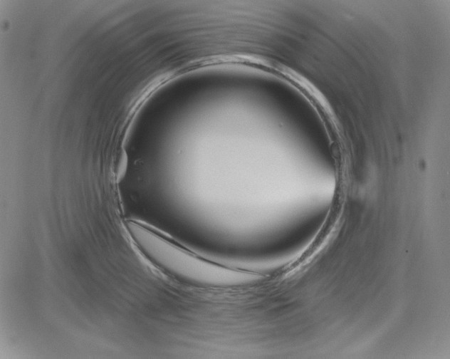 X0000080770809200701021120