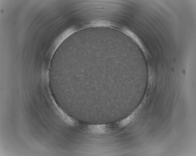 X0000080770810200701021120