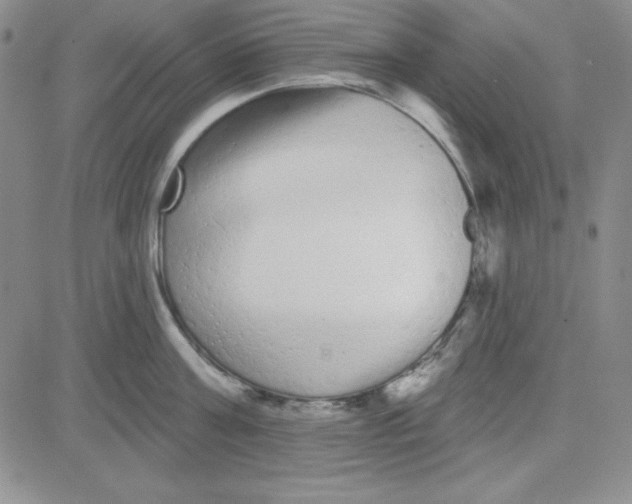 X0000080770811200701021120